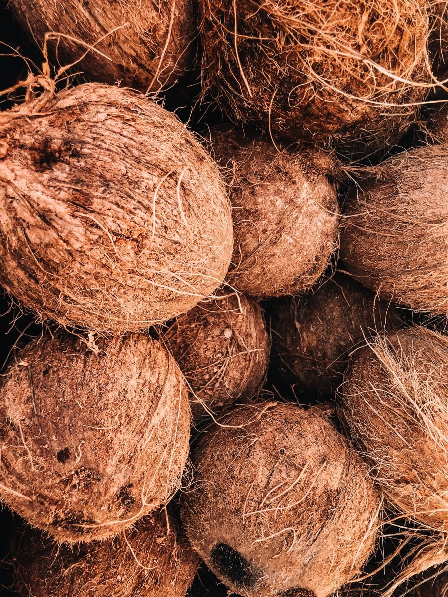 Coconuts