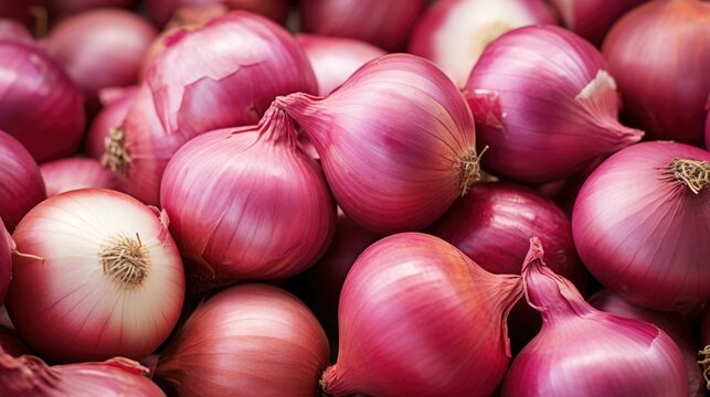 Onion