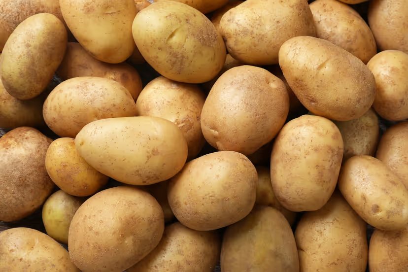 Potato