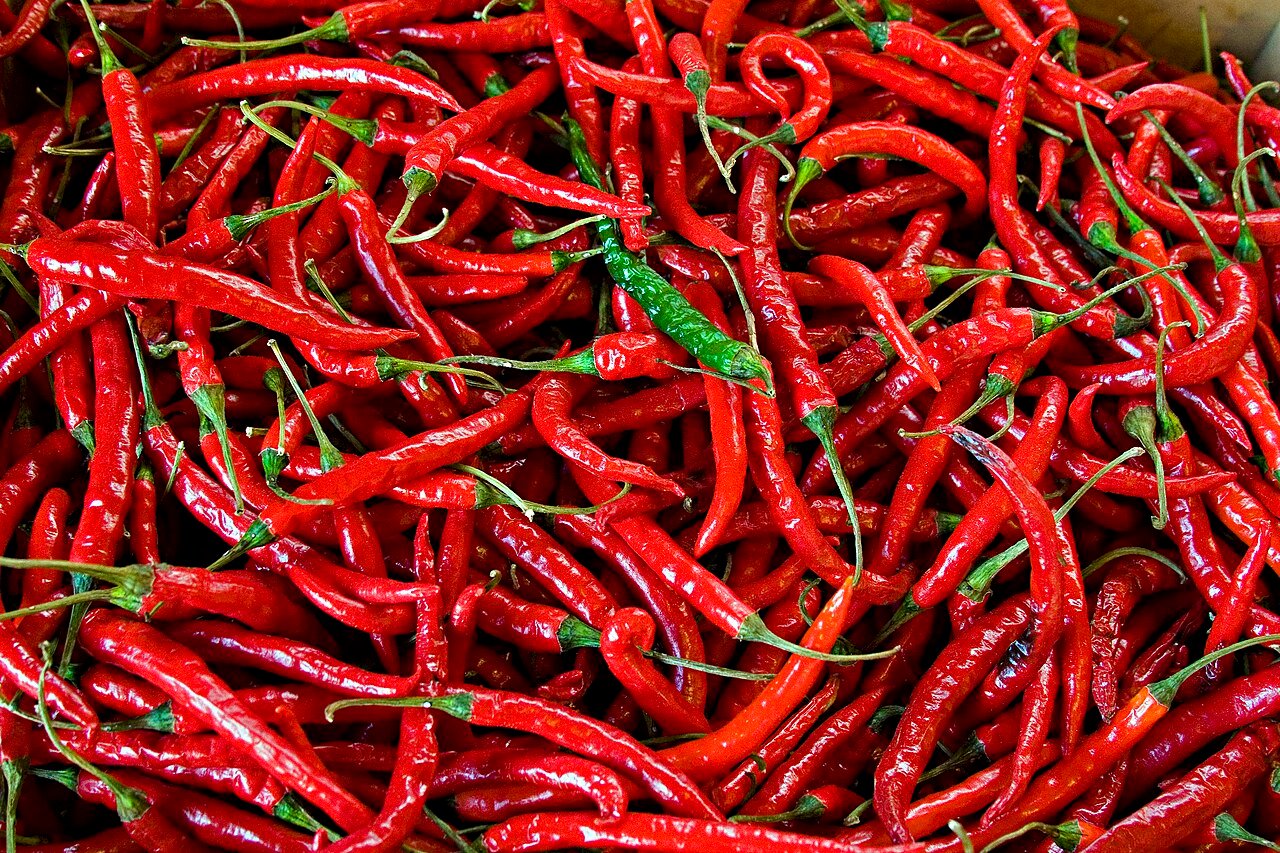 Red Chilli
